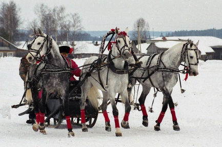 Новый год в Беларуси